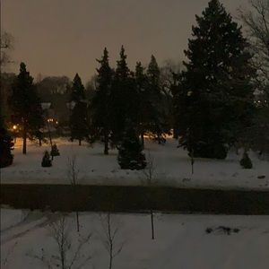 Meet your Posher, Rose